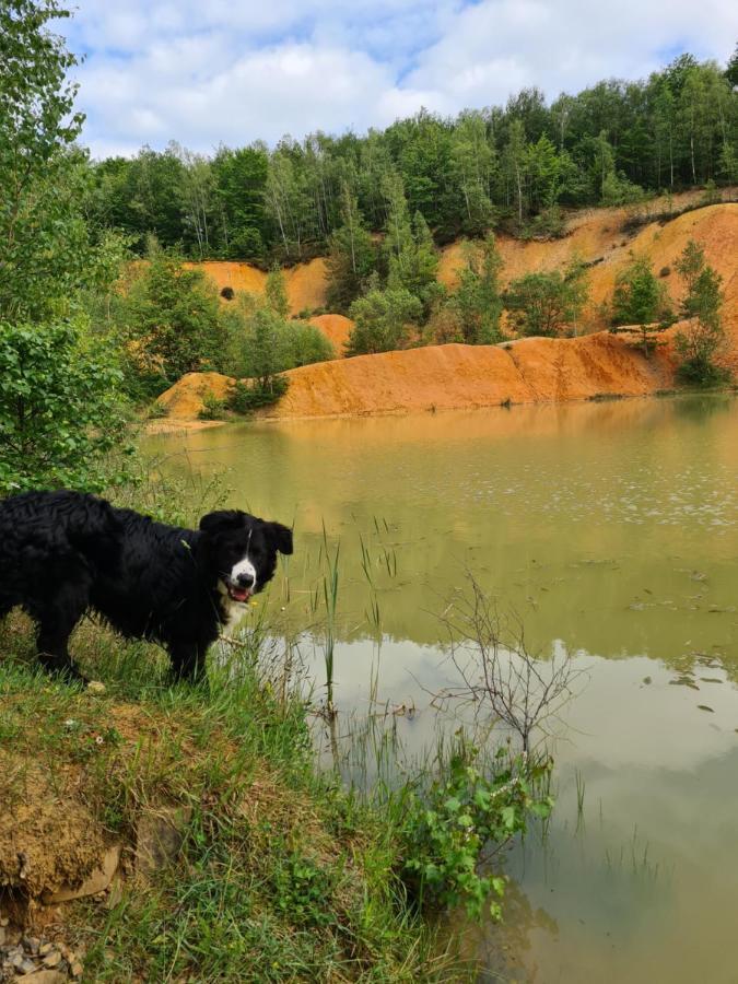 Celles  Gite La Petite Beurrerie Des Ardennes מראה חיצוני תמונה