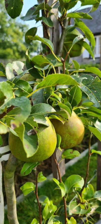 Celles  Gite La Petite Beurrerie Des Ardennes מראה חיצוני תמונה