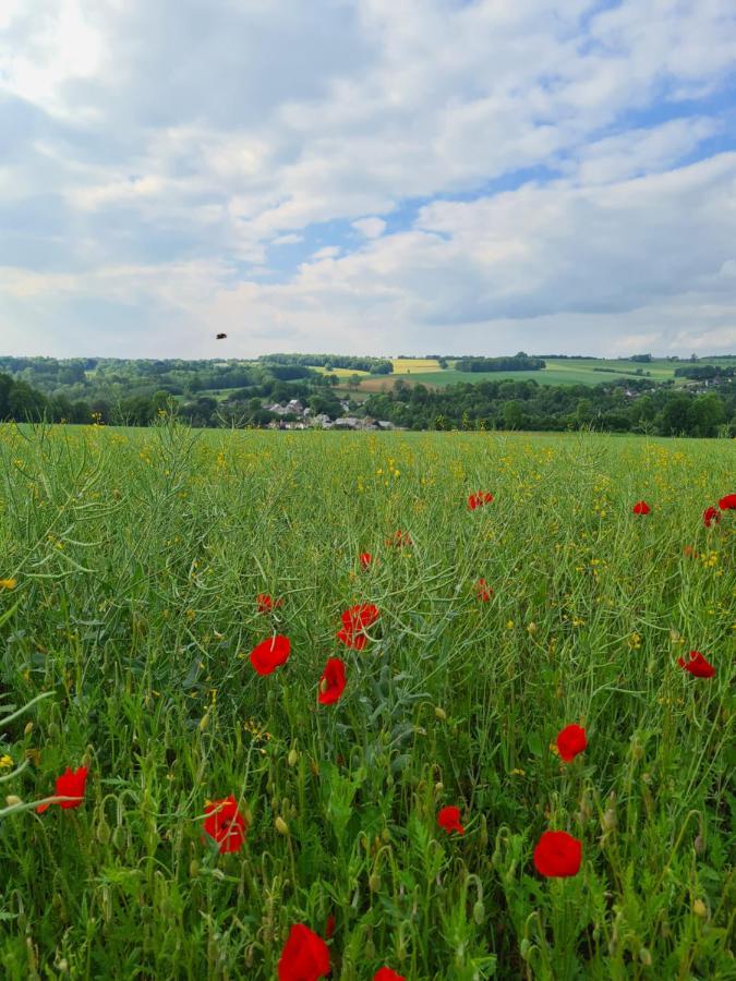 Celles  Gite La Petite Beurrerie Des Ardennes מראה חיצוני תמונה