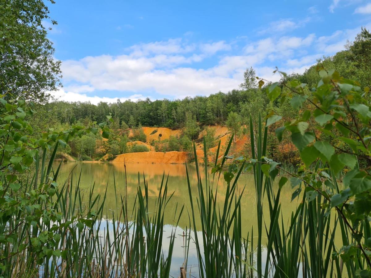 Celles  Gite La Petite Beurrerie Des Ardennes מראה חיצוני תמונה